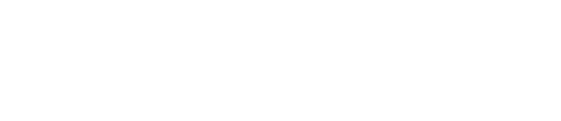 PT Audio