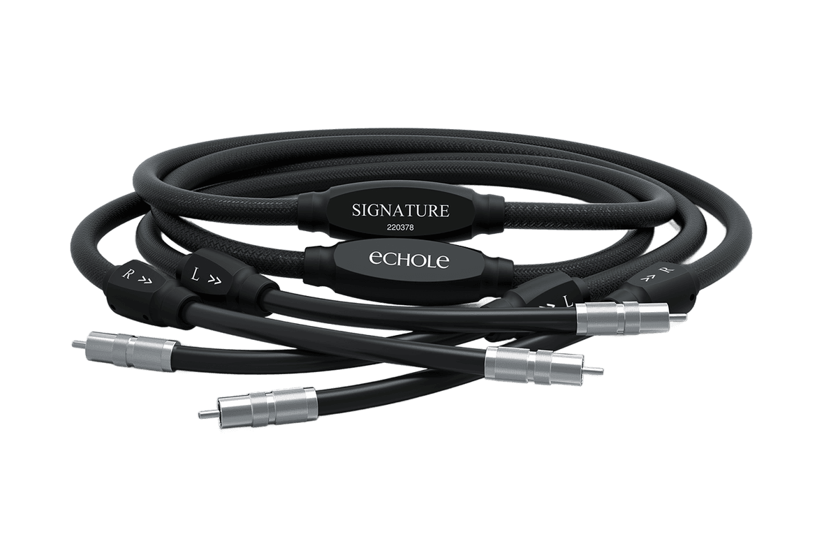 Analog Interconnect - View 1