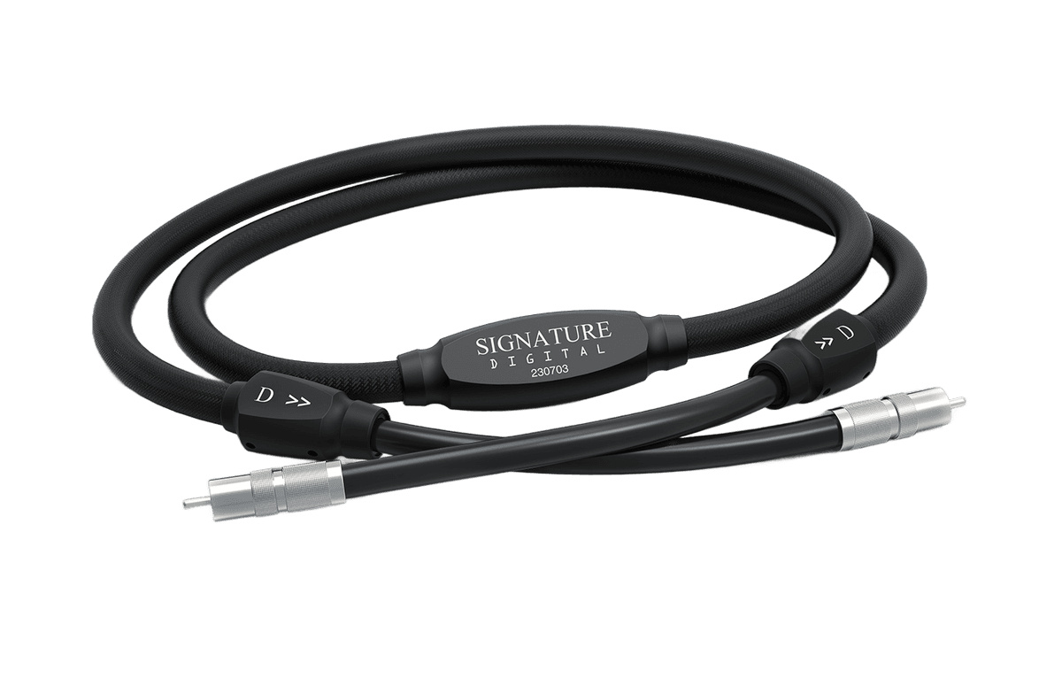 Digital Interconnect - View 1